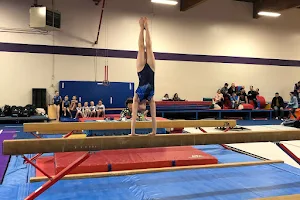 Dreams Gymnastics Academy image