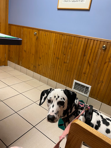 Briarwood Veterinary Hospital image