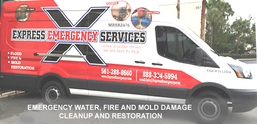 Mold Remediation of Palm Beach County