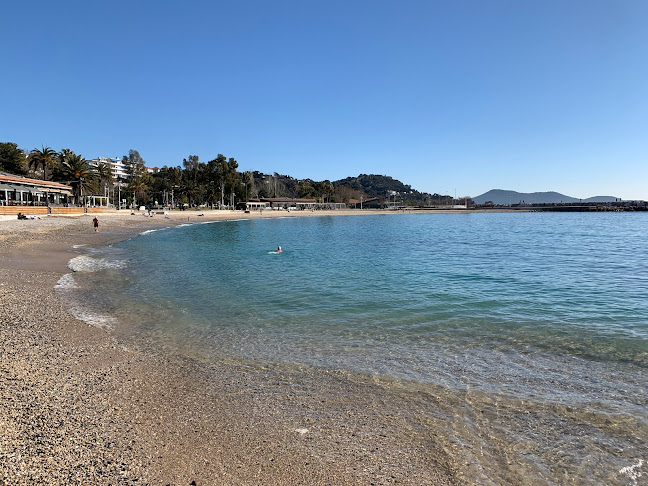Avis sur L'eden à Toulon - Restaurant