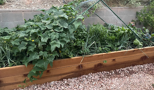 Garden Farms of Nevada, Las Vegas | Garden Farms Market | Garden Farms Foundation