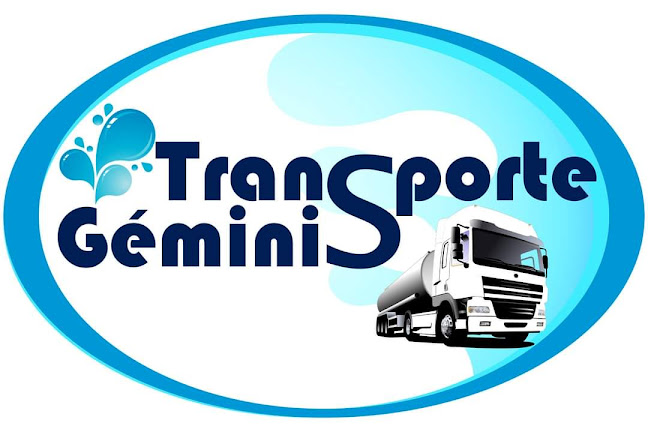 Opiniones de Transportes Geminis en Valparaíso - Servicio de transporte
