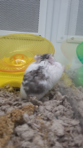 Pet Supply Store «Petco Animal Supplies», reviews and photos, 1215-1309 NJ-33 #1, Hamilton Township, NJ 08690, USA