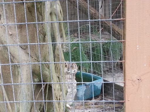 Nature Preserve «Calusa Nature Center & Planetarium», reviews and photos, 3450 Ortiz Ave, Fort Myers, FL 33905, USA