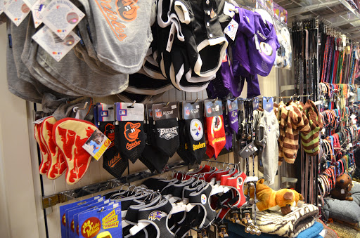 Pet Store «Charm City Puppies», reviews and photos, 8205 Snowden River Pkwy, Columbia, MD 21045, USA