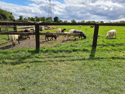 Caragh Open Farm