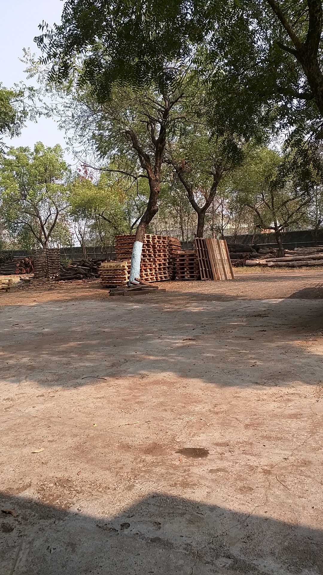 Ram Saw Mill