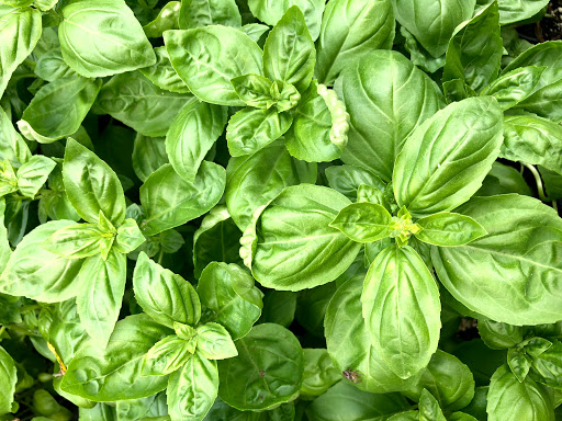 Garden Center «Stonewall Garden Center», reviews and photos, 4675 PA-447, Canadensis, PA 18325, USA