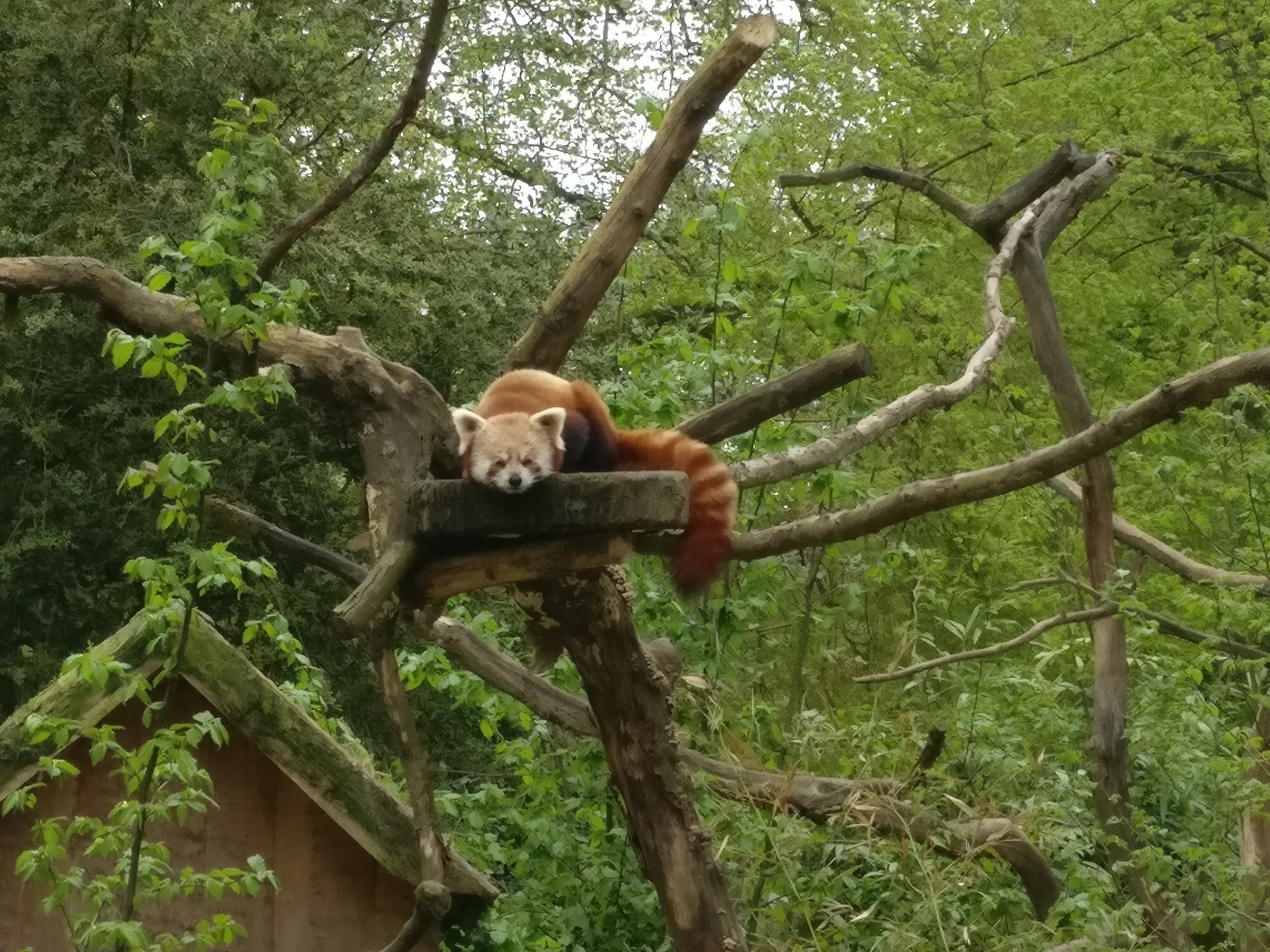 Photo n° 2 de l'avis de Michaël.I fait le 24/04/2018 à 10:11