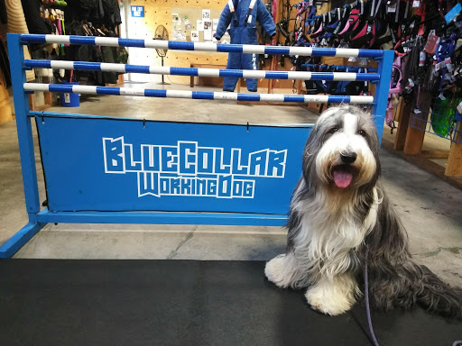 Pet Supply Store «BlueCollar Working Dog», reviews and photos, 1320 Glendale Blvd, Los Angeles, CA 90026, USA