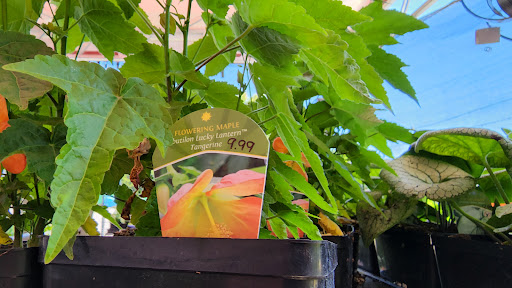 Hardware Store «Newberg Hardware», reviews and photos, 2100 Portland Rd, Newberg, OR 97132, USA