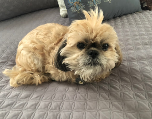 Pet Supply Store «Pet Supermarket», reviews and photos, 3201 Macon Rd #163, Columbus, GA 31906, USA