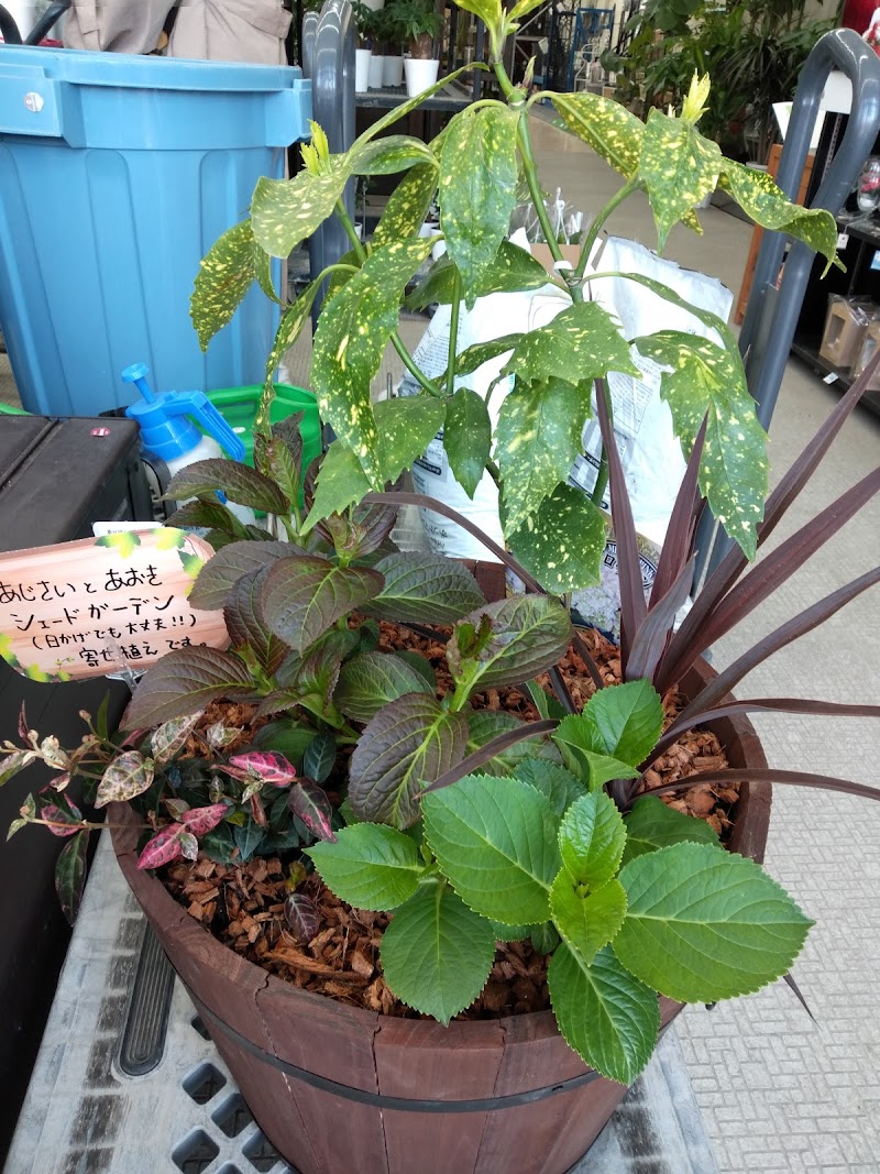 島忠 ホームズ浦和南店 埼玉県さいたま市南区内谷 ホームセンター グルコミ