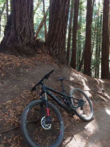 Bicycle Store «Epicenter Cycling», reviews and photos, 1730 Mission St, Santa Cruz, CA 95060, USA