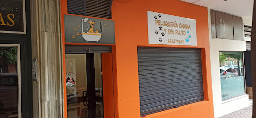 Peluquería canina y spa Pluto - Servicios para mascota en Córdoba