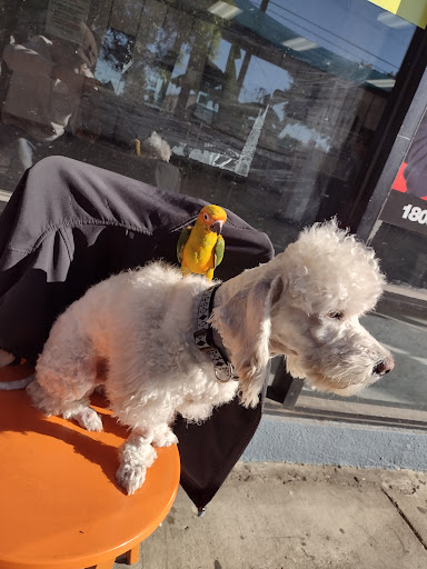 Pet Supply Store «Pet Care Inc.», reviews and photos, 2500 East Cesar E Chavez Avenue, Los Angeles, CA 90033, USA