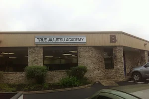 True JiuJitsu Academy image