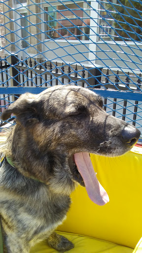 Shoe Store «Burkhartzmeyer Shoes», reviews and photos, 128 Central Ave N, Faribault, MN 55021, USA