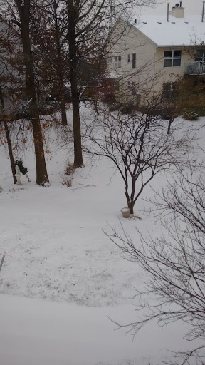 Shopping Mall «Easton Mall», reviews and photos, 1135 Easton Ave, Somerset, NJ 08873, USA