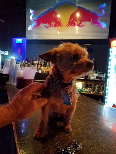 Bar «Bourbon Saloon», reviews and photos, 311 S 15th St, Omaha, NE 68102, USA