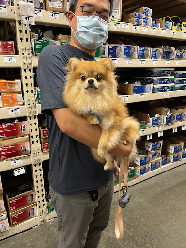 Home Improvement Store «The Home Depot», reviews and photos, 2980 S Euclid Ave, Ontario, CA 91762, USA