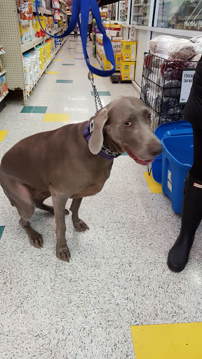 Pet Supply Store «Pet Supplies Plus», reviews and photos, 700 Nutt Rd, Phoenixville, PA 19460, USA