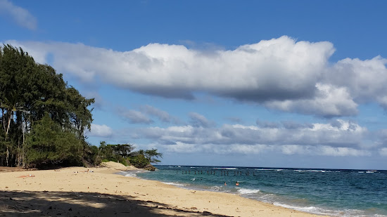 Pounder's Beach