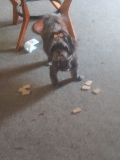 Pet Supply Store «PetSmart», reviews and photos, 742 S Meadow St, Ithaca, NY 14850, USA