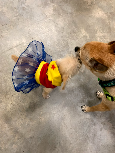 Pet Supply Store «PetSmart», reviews and photos, 4550 W Lake Mary Blvd, Lake Mary, FL 32746, USA