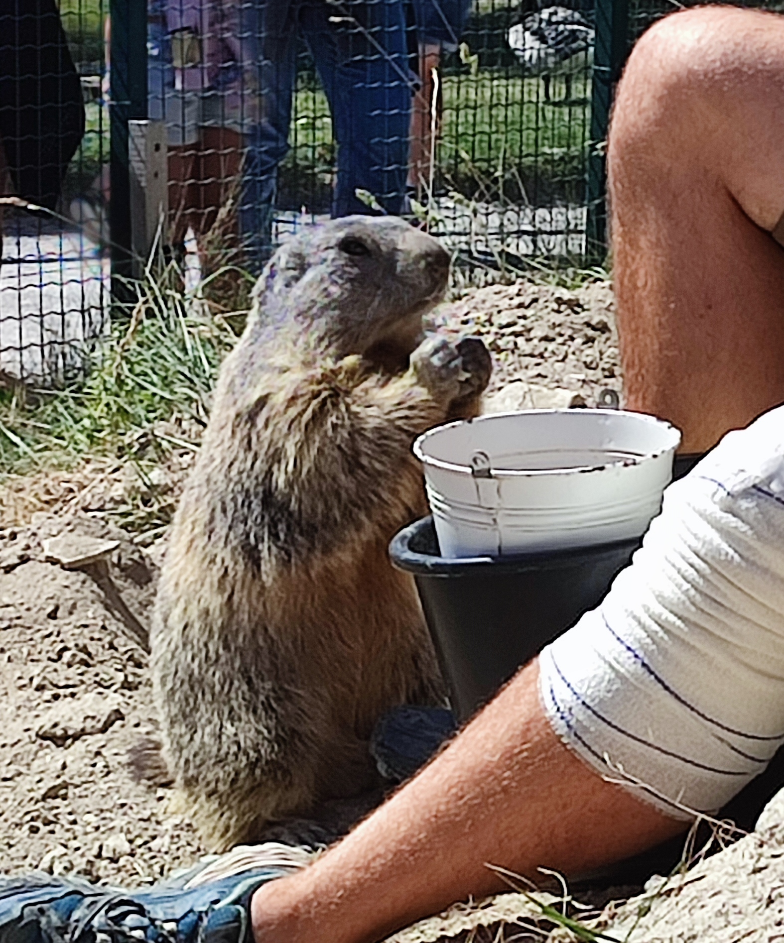 Photo n° 1 de l'avis de Sylvie. fait le 06/08/2023 à 17:10