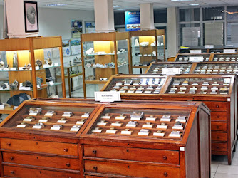 İstanbul Üniversitesi Cerrahpaşa Jeoloji Müzesi