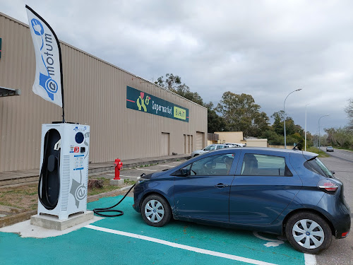 Borne de recharge de véhicules électriques e-motum Station de recharge Biguglia