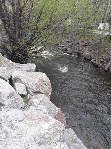 Cafe «Muddy Buck», reviews and photos, 28065 CO-74, Evergreen, CO 80439, USA