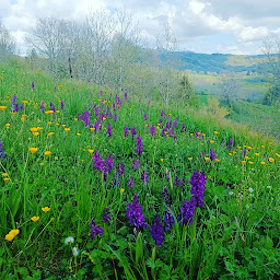 Photo n°14 de Les Pas de Géants à La Tour-d'Auvergne ()