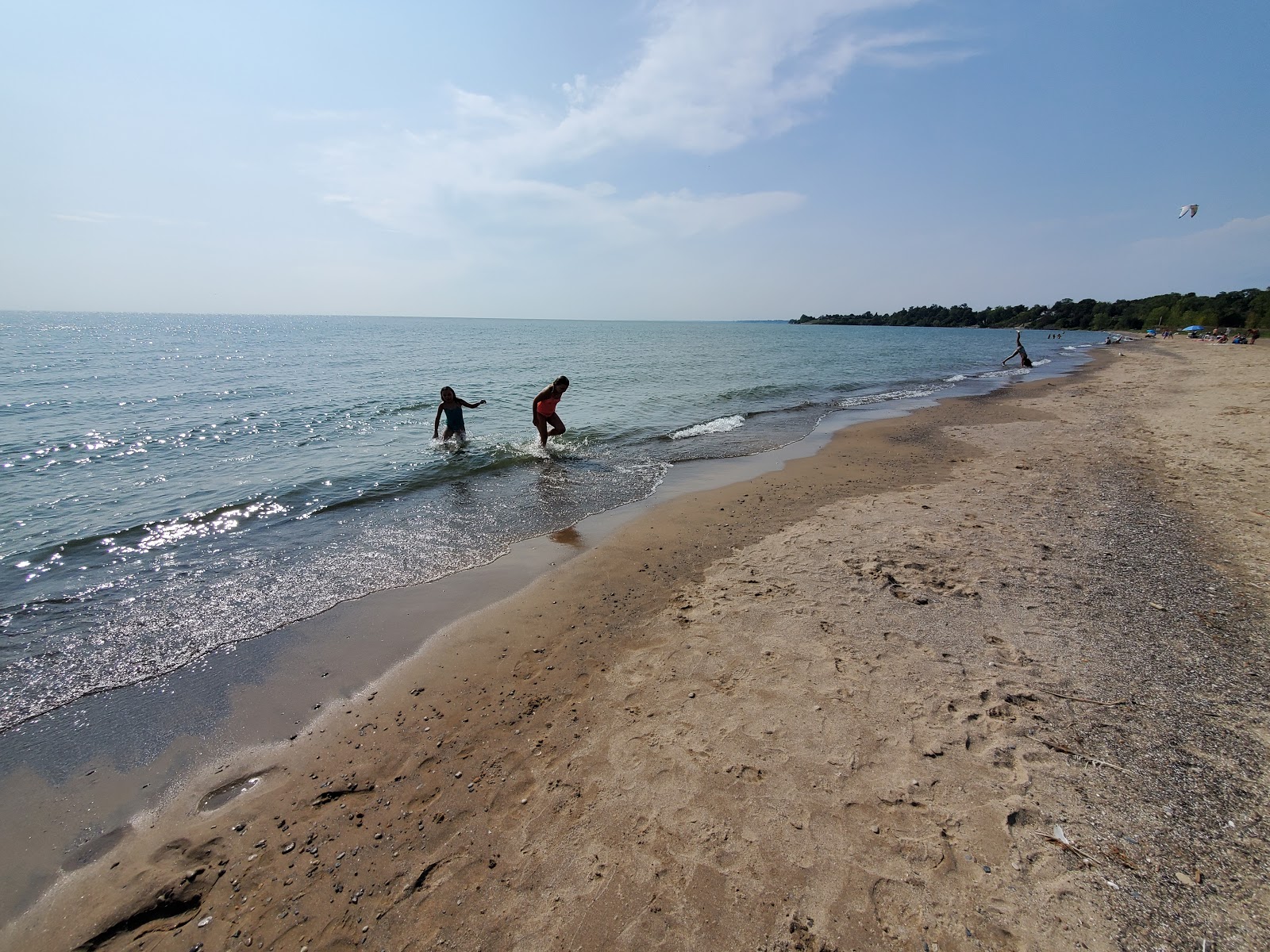 Foto av Seacliff beach och bosättningen