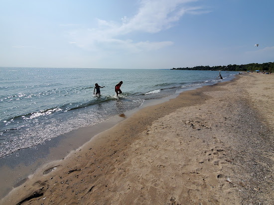 Seacliff beach