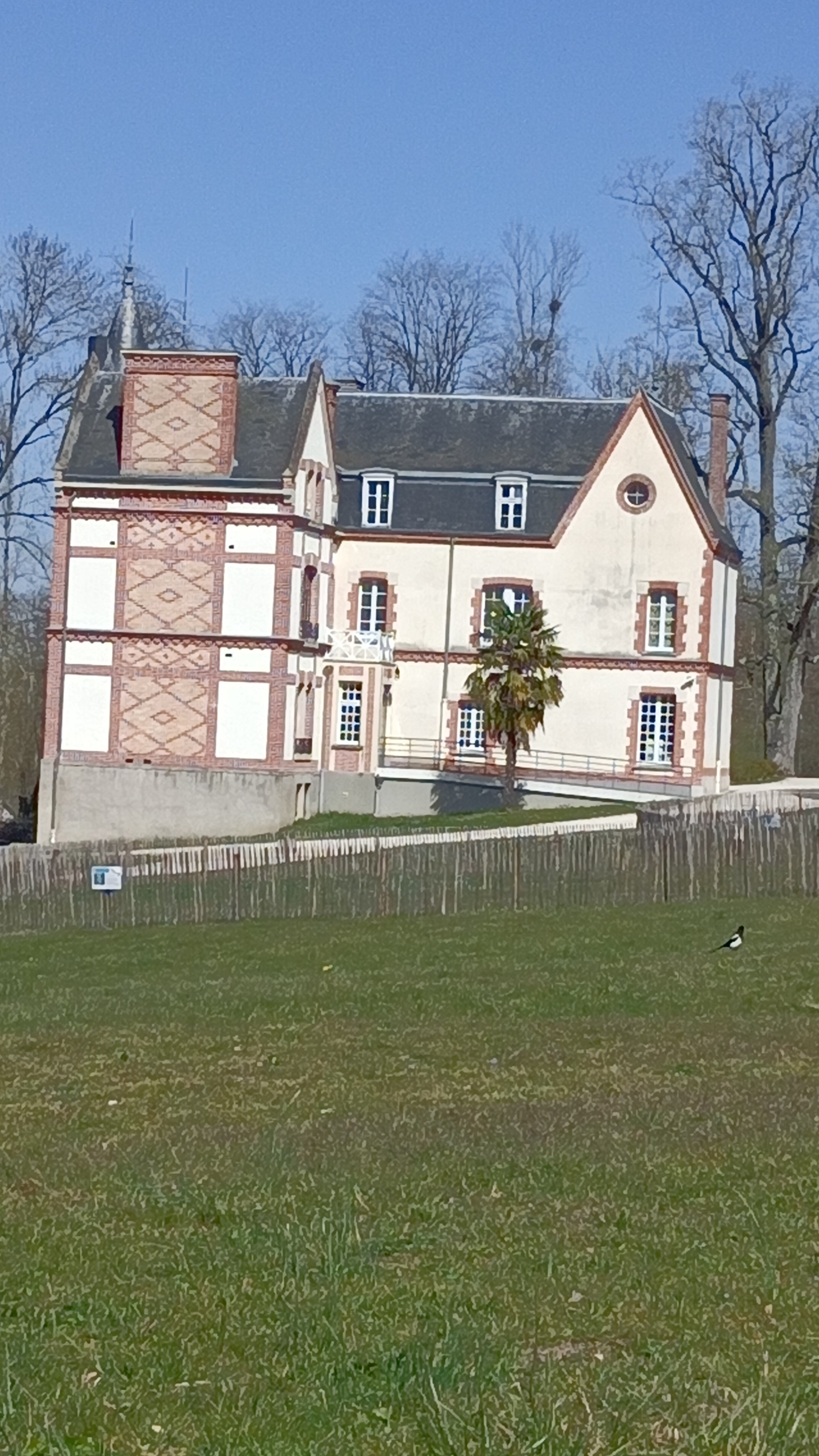Photo n° 1 de l'avis de Osmarina.I fait le 31/03/2021 à 17:47