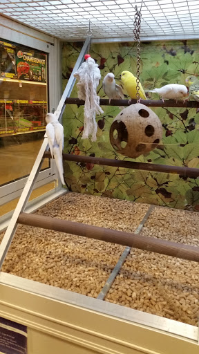 Pet Supply Store «PetSmart», reviews and photos, 2861 Veterans Memorial Pkwy, St Charles, MO 63303, USA