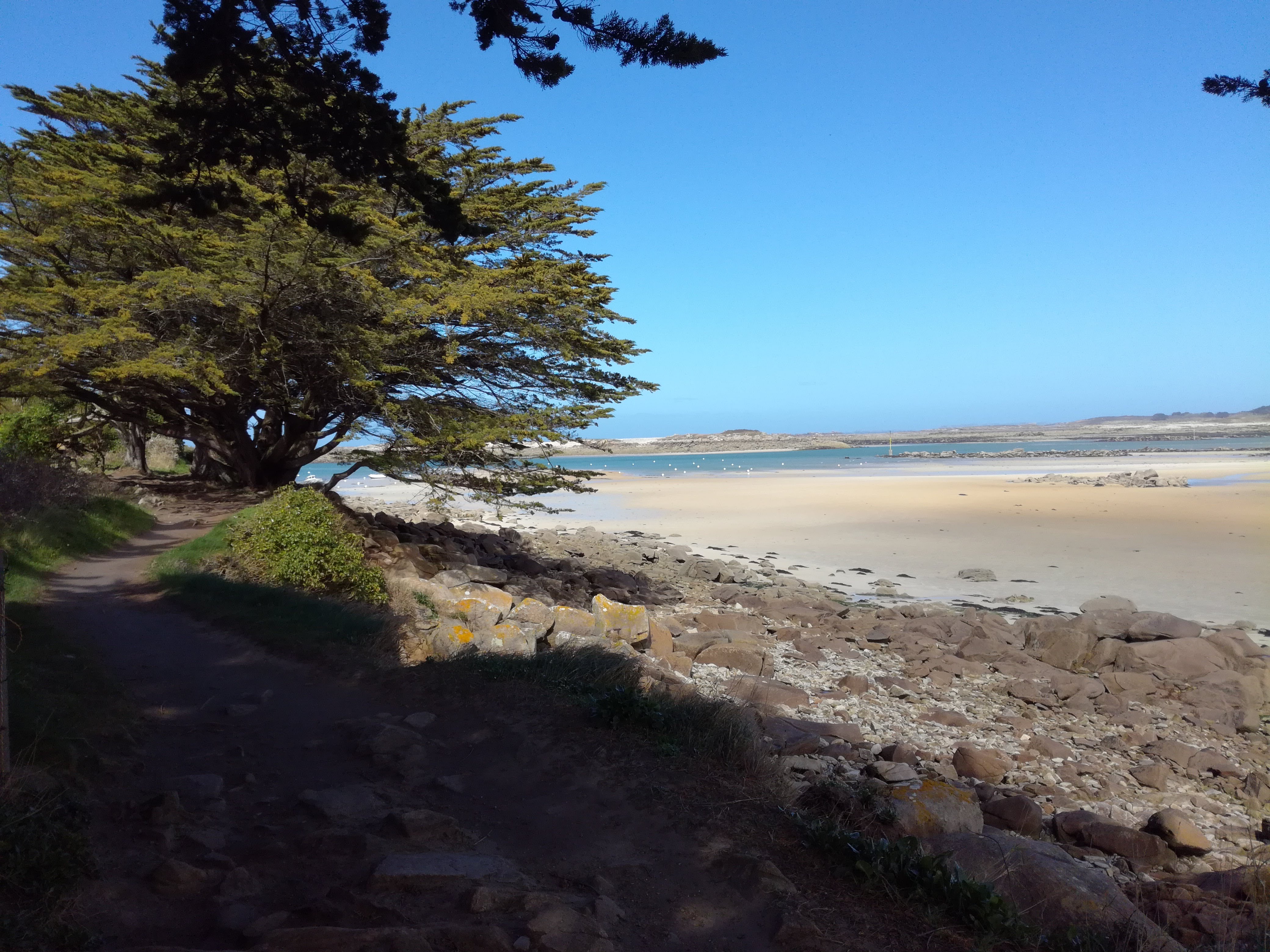 Photo n° 1 de l'avis de ALLIZÉYA. fait le 09/04/2018 à 14:02