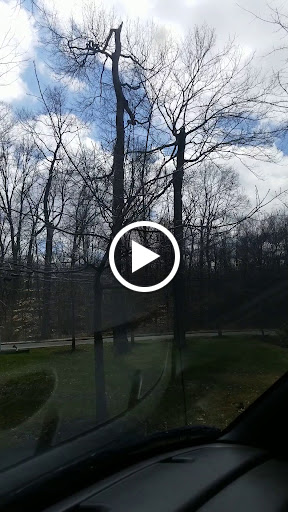 Shopping Mall «Lyons Mall», reviews and photos, 26 Lyons Mall, Basking Ridge, NJ 07920, USA