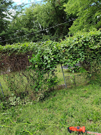 YourWay Pros - Photo 6 - Car repair in North Little Rock, AR, Little Rock