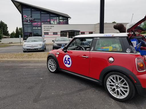 Animal Shelter «One of A Kind Pet Rescue», reviews and photos, 1929 W Market St, Akron, OH 44313, USA