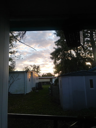 Car Battery Store «Batteries Plus Bulbs», reviews and photos, 28560 US Hwy 19 N, Clearwater, FL 33761, USA