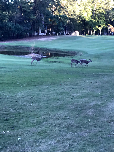 Golf Club «Umstead Pines @ Willowhaven Golf & Swim Club», reviews and photos, 253 Country Club Dr, Durham, NC 27712, USA