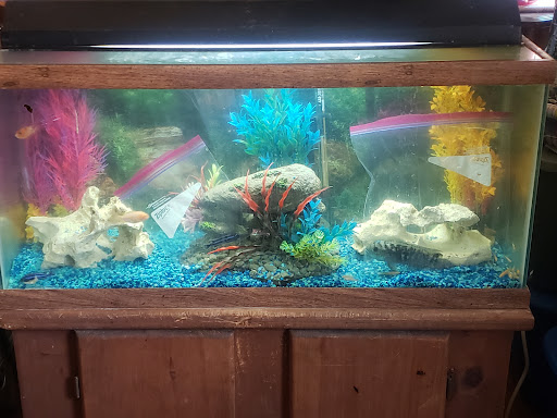 Pet Supply Store «Petco Animal Supplies», reviews and photos, 1401 E Spring Valley Rd, Richardson, TX 75081, USA