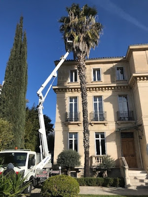 Environnement Varois Elagage Abattage à La Ciotat