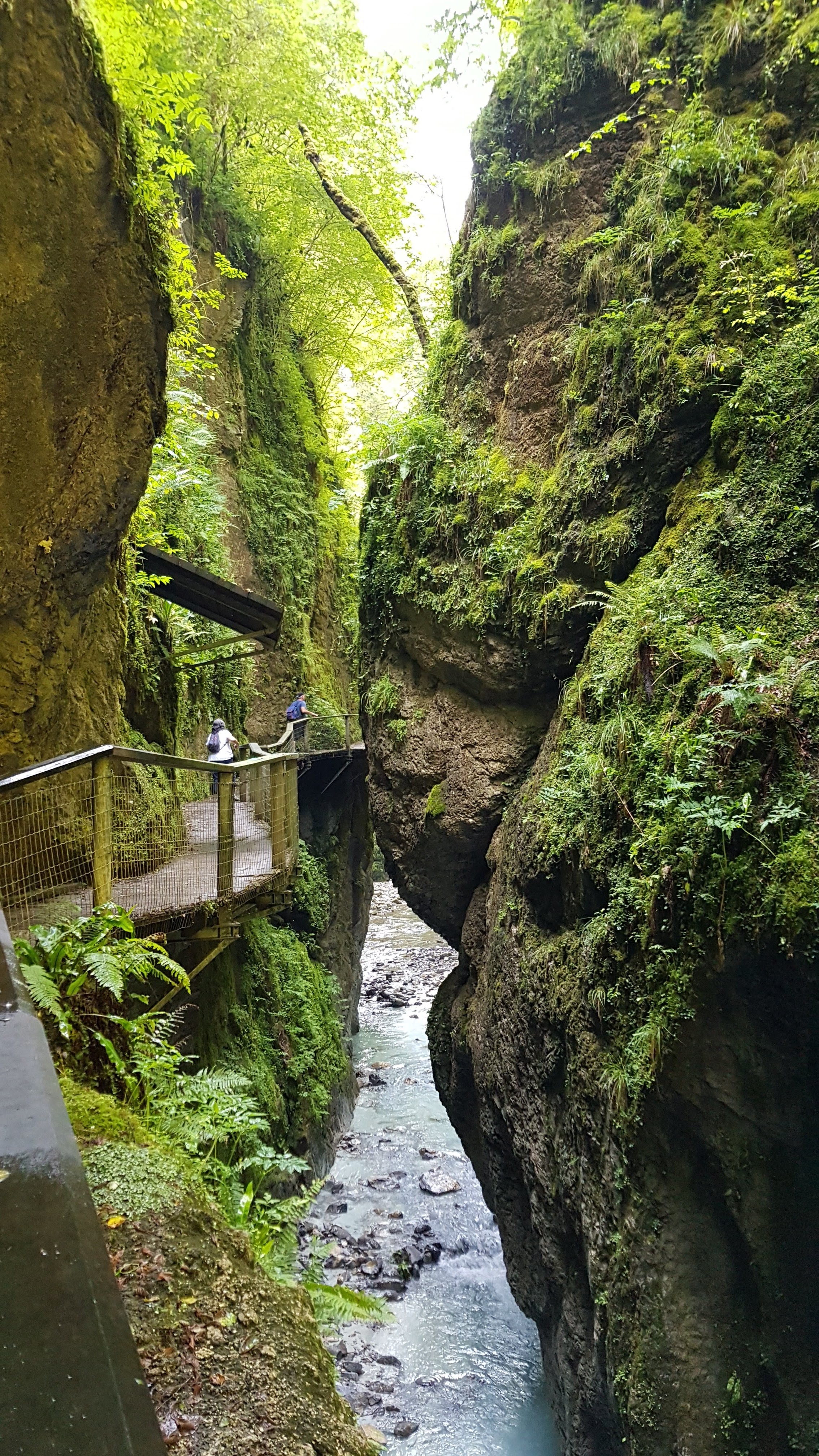 Photo n° 1 de l'avis de Jordan.a fait le 24/07/2018 à 13:05