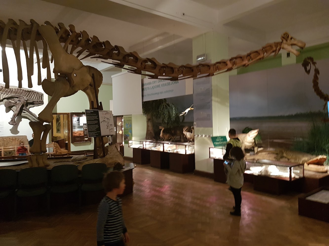 Museum of Evolution