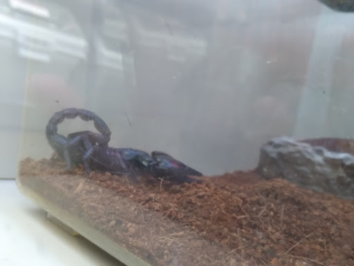 Pet Supply Store «Pet Supplies Plus», reviews and photos, 101 Sutton Ave, Oxford, MA 01540, USA