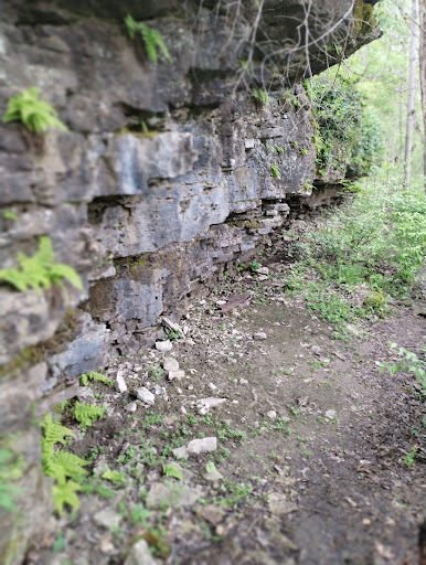 Talus Trail